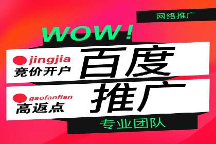 行业领先企业如何运用SEM进行精准营销
